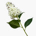 interio Onlineshop