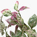 interio Onlineshop