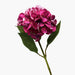 interio Onlineshop