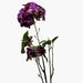 interio Onlineshop