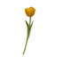 TULPE Kunstblume apricot