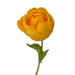 interio Onlineshop