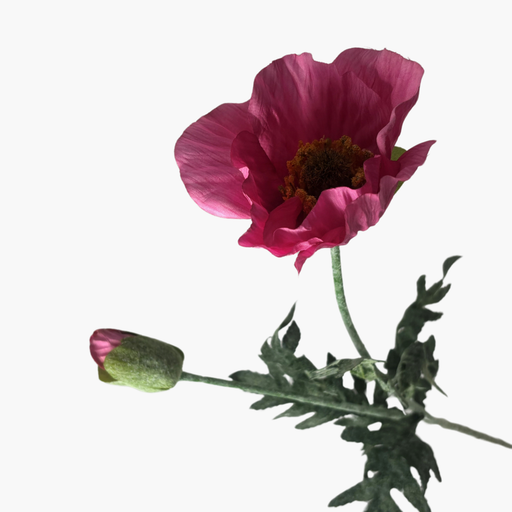 MOHN Kunstblume violett