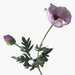 interio Onlineshop
