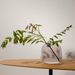 interio Onlineshop