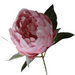 interio Onlineshop
