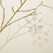 interio Onlineshop
