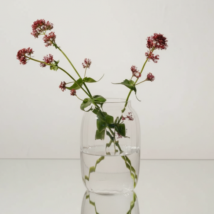 LAURIS II Glasvase