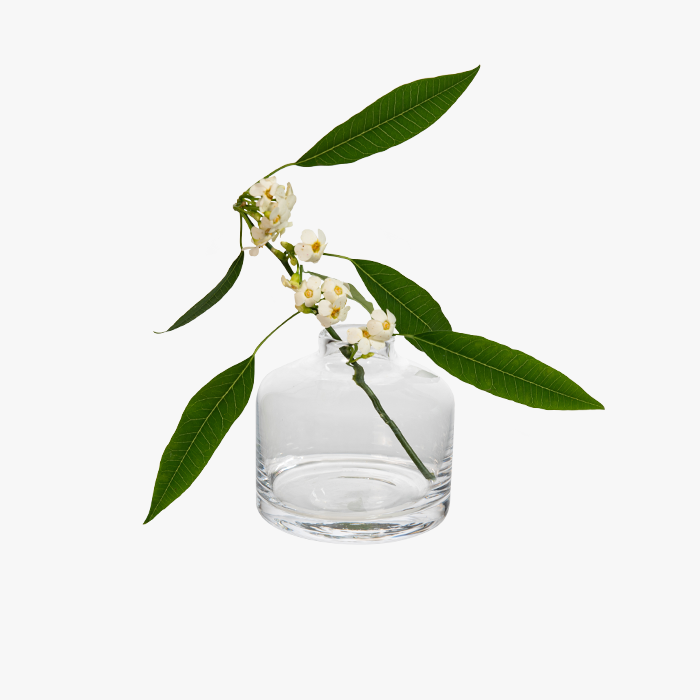 LITTI Minivase