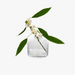 interio Onlineshop
